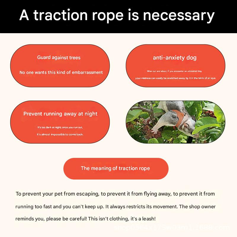 2-Pack dark brown Small Mammal Harness Set – 6 Pcs (S/M/L ×2) + 2×1.5m Leashes for Secure Outdoor Handling