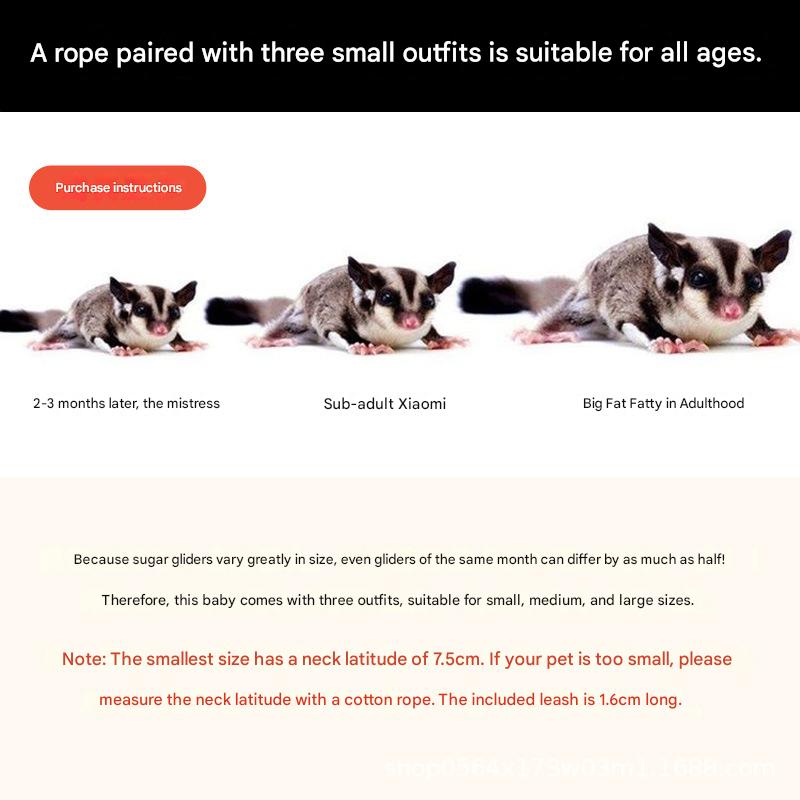 2-Pack dark brown Small Mammal Harness Set – 6 Pcs (S/M/L ×2) + 2×1.5m Leashes for Secure Outdoor Handling