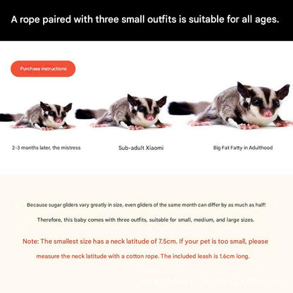 2-Pack dark brown Small Mammal Harness Set – 6 Pcs (S/M/L ×2) + 2×1.5m Leashes for Secure Outdoor Handling