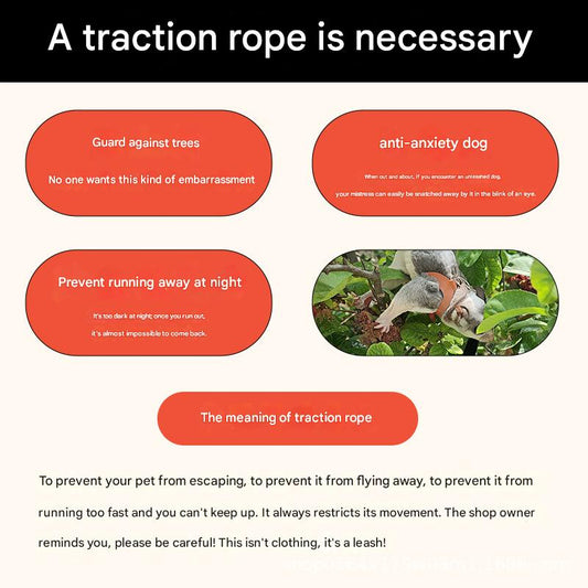 2-Pack Pink Small Mammal Harness Set – 6 Pcs (S/M/L ×2) + 2×1.5m Leashes for Secure Outdoor Handling