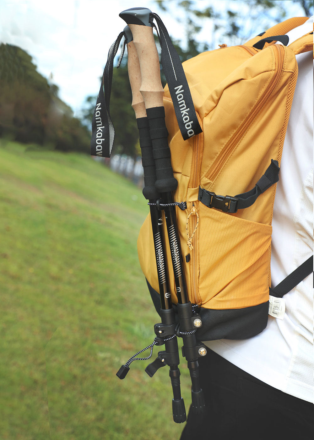 2-Pack Black Aluminum Alloy Telescopic Trekking Poles with Secure External Lock & Accessory - 3-Section Adjustable Hiking Sticks(65-135cm).