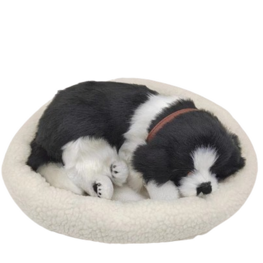 Sleepy Tails - Border Collie - Breathing.