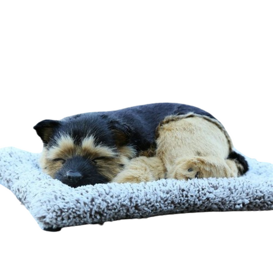 Sleepy Tails - German Shepherd Sleeping.